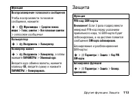 Страница 113