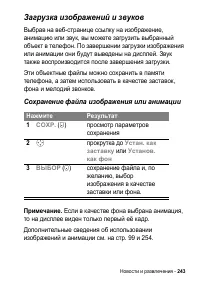 Страница 243