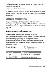 Страница 255