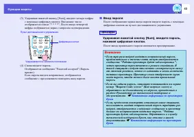 Страница 43
