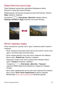 Страница 316