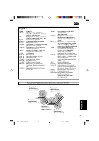 Страница 275