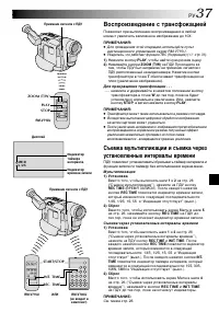 Страница 37