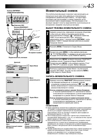 Страница 43
