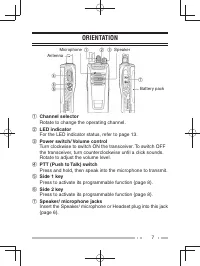 Страница 15