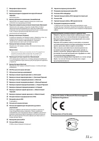 Страница 51