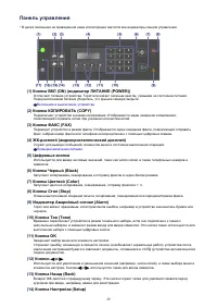 Страница 29