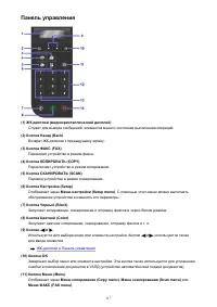 Страница 117