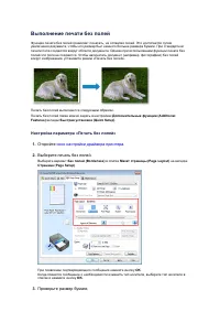 Страница 244