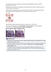 Страница 646