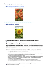 Страница 855