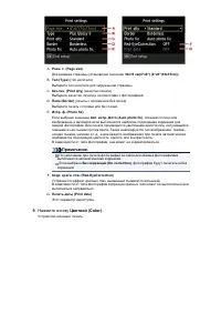 Страница 384