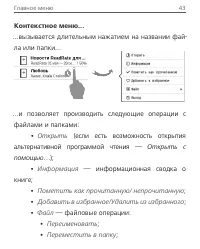 Страница 43