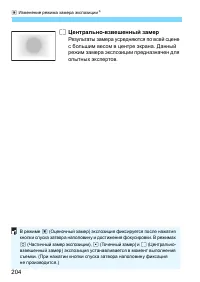 Страница 204