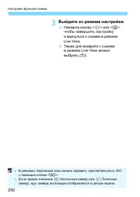 Страница 250