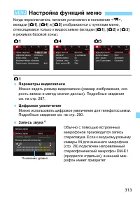 Страница 313