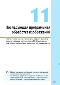 Страница 391