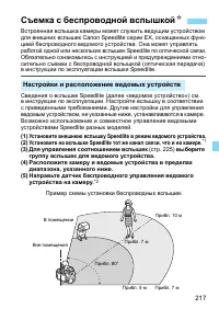 Страница 217