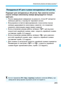 Страница 245