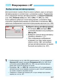 Страница 247