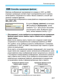 Страница 317