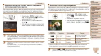 Страница 49