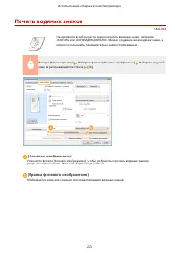 Страница 231