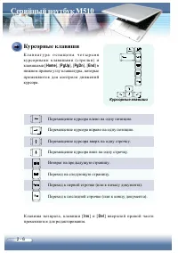 Страница 34
