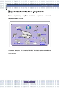 Страница 61