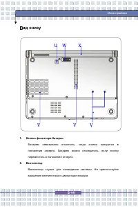 Страница 31