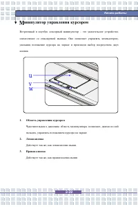Страница 49
