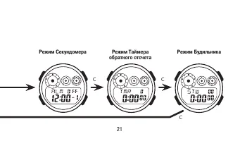 Страница 21