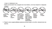 Страница 36