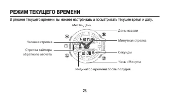 Страница 28