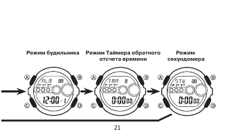 Страница 21