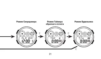 Страница 21