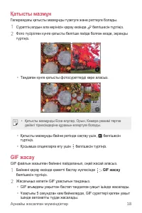 Страница 293