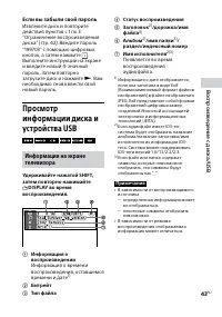 Страница 43