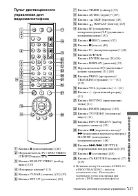 Страница 137