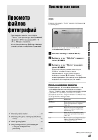 Страница 43