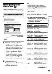 Страница 29