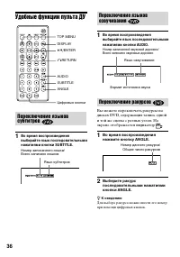 Страница 36