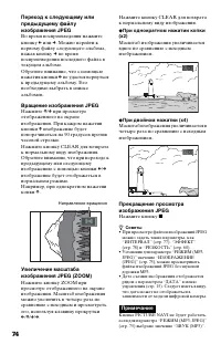 Страница 74
