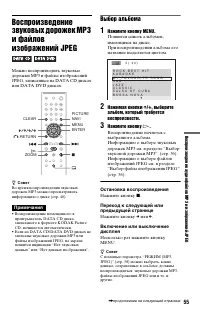 Страница 55