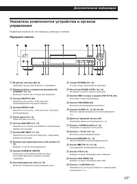 Страница 43