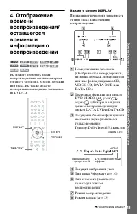 Страница 43