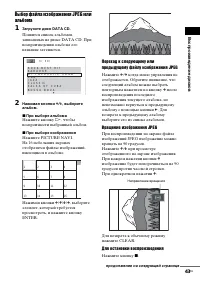 Страница 43