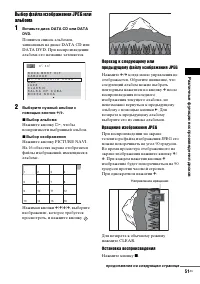 Страница 51