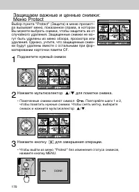 Страница 170