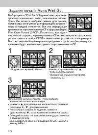 Страница 172